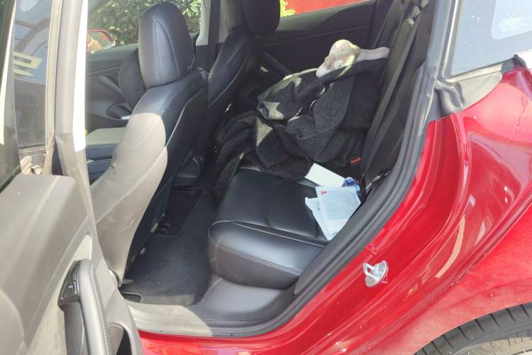 Used Tesla Model 3 2019 Long-Range Rear-Wheel-Drive Version Left Rear Seat