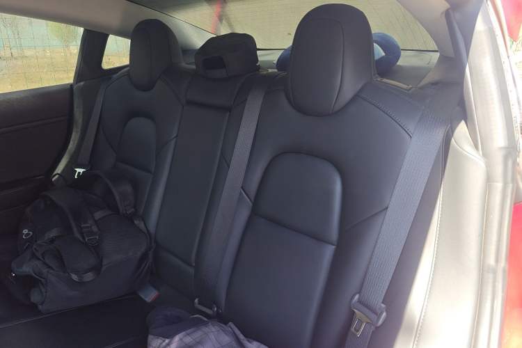 Used Tesla Model 3 2019 Long-Range All-Wheel-Drive Version Left Rear Seat