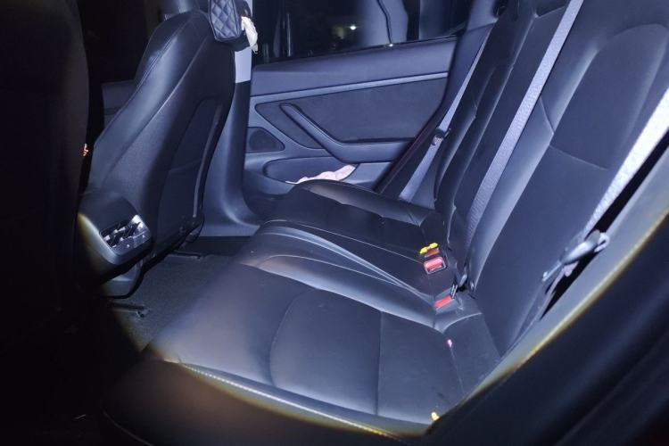Used Tesla Model 3 2019 Standard Range Rear-Drive Upgraded Version Left Rear Seat