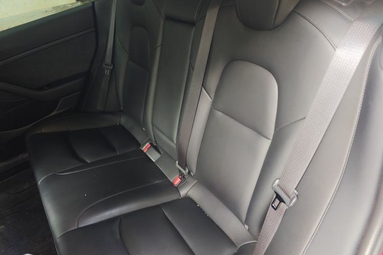 Used Tesla Model 3 2019 Standard Range Rear-Drive Upgraded Version Left Rear Seat