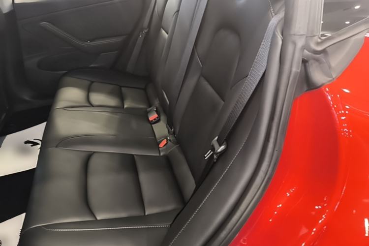 Used Tesla Model 3 2019 Long-Range Rear-Wheel-Drive Version Left Rear Seat