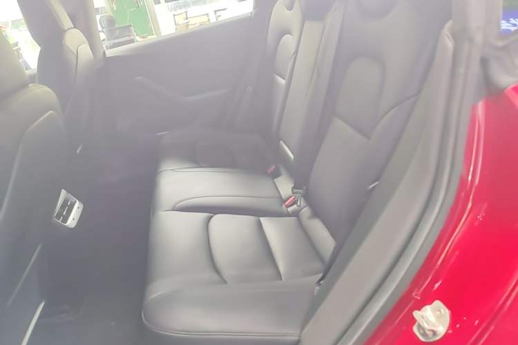 Used Tesla Model 3 2019 Long-Range All-Wheel-Drive Version Left Rear Seat
