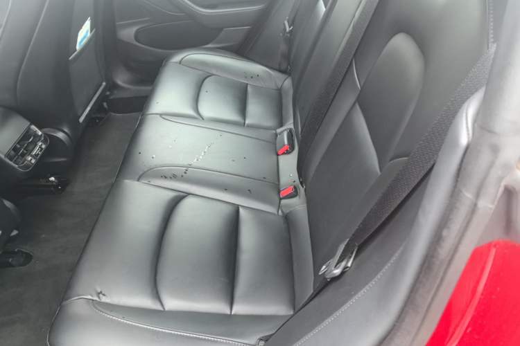 Used Tesla Model 3 2019 Standard Range Rear-Drive Upgraded Version Left Rear Seat