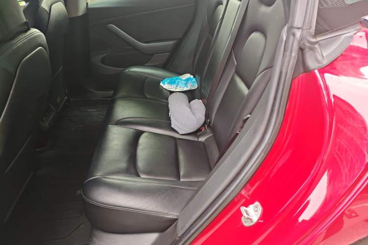 Used Tesla Model 3 2019 Long-Range Rear-Wheel-Drive Version Left Rear Seat