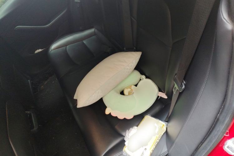 Used Tesla Model 3 2019 Long-Range All-Wheel-Drive Version Left Rear Seat