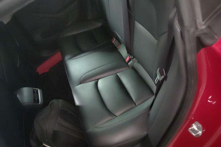Used Tesla Model 3 2019 Standard Range Rear-Drive Upgraded Version Left Rear Seat