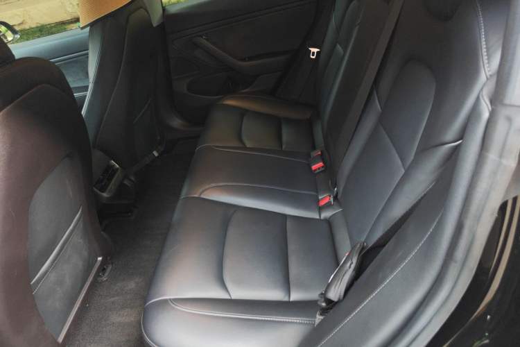 Used Tesla Model 3 2019 Long-Range All-Wheel-Drive Version Left Rear Seat