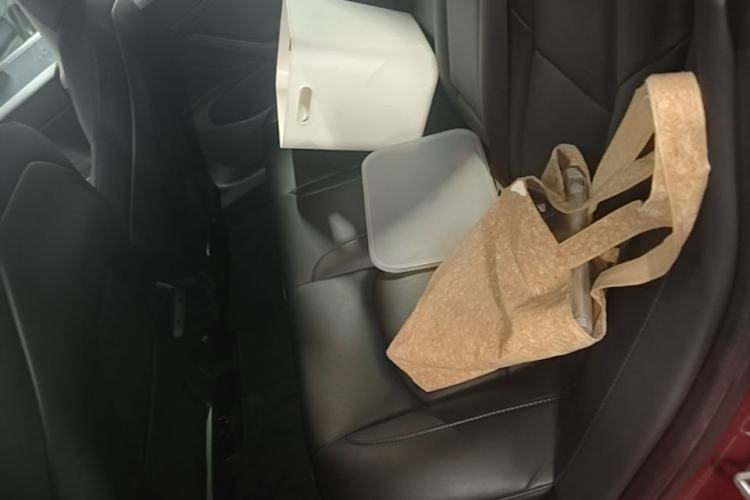 Used Tesla Model 3 2019 Long-Range All-Wheel-Drive Version Left Rear Seat