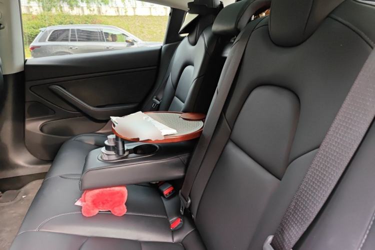 Used Tesla Model 3 2019 Long-Range Rear-Wheel-Drive Version Left Rear Seat