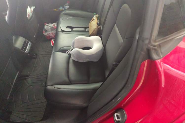 Used Tesla Model 3 2019 Long-Range Rear-Wheel-Drive Version Left Rear Seat