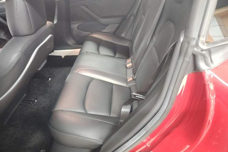 Used Tesla Model 3 2019 Long-Range All-Wheel-Drive Version Left Rear Seat