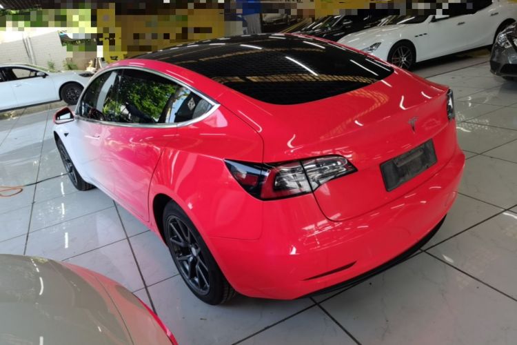 Used Tesla Model 3 2019 Standard Range Rear-Drive Upgraded Version Rear Left 45 Deg
