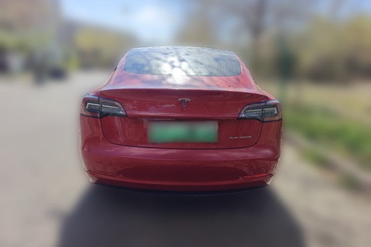 Used Tesla Model 3 2019 Long-Range All-Wheel-Drive Version Rear