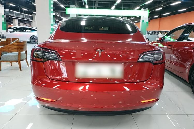 Used Tesla Model 3 2019 Long-Range Rear-Wheel-Drive Version Rear