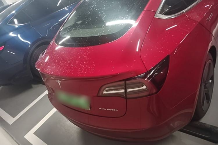 Used Tesla Model 3 2019 Long-Range All-Wheel-Drive Version Rear