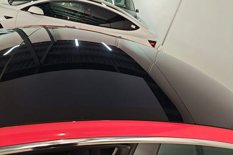 Used Tesla Model 3 2019 Long-Range Rear-Wheel-Drive Version Roof