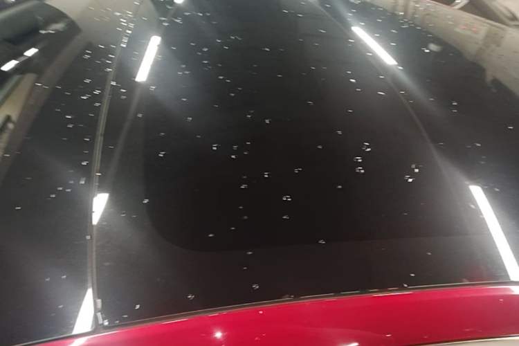 Used Tesla Model 3 2019 Long-Range All-Wheel-Drive Version Roof