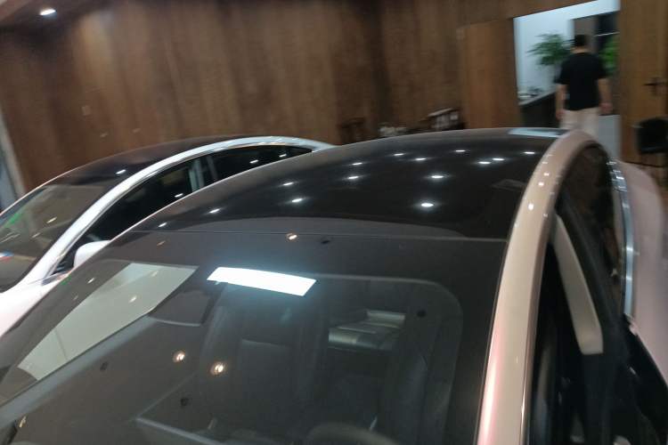 Used Tesla Model 3 2019 Long-Range Rear-Wheel-Drive Version Roof
