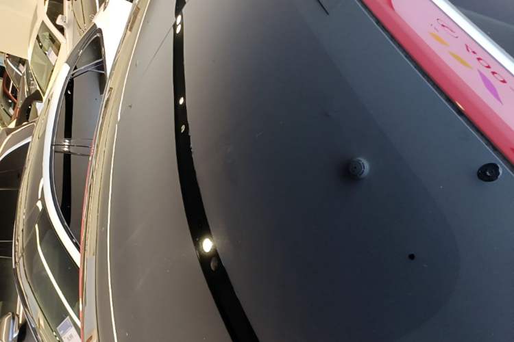 Used Tesla Model 3 2019 Standard Range Rear-Drive Upgraded Version Roof
