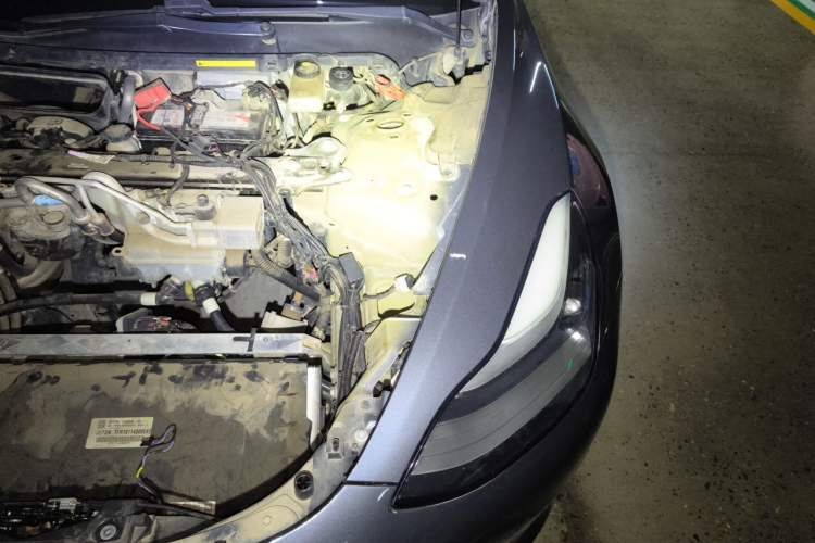 Used Tesla Model 3 2019 Long-Range Rear-Wheel-Drive Version Engine Bay Left