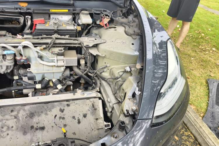 Used Tesla Model 3 2019 Long-Range All-Wheel-Drive Version Engine Bay Left