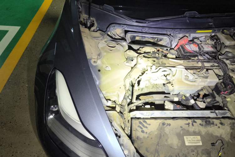 Used Tesla Model 3 2019 Long-Range Rear-Wheel-Drive Version Engine Bay Right