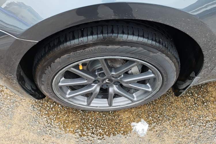 Used Tesla Model 3 2019 Long-Range Rear-Wheel-Drive Version Exterior 4