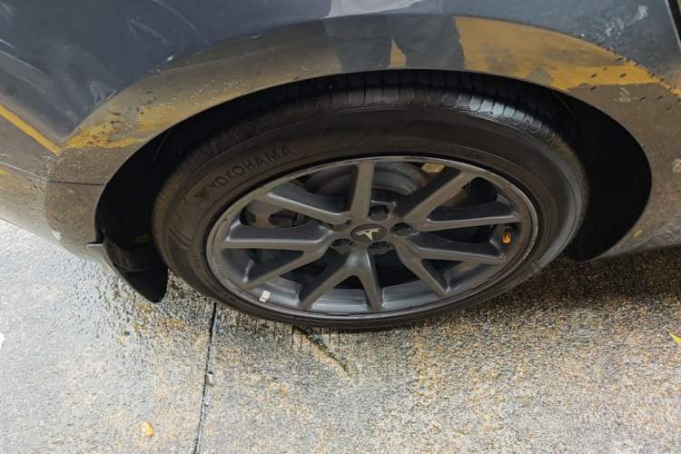Used Tesla Model 3 2019 Long-Range Rear-Wheel-Drive Version Exterior 5