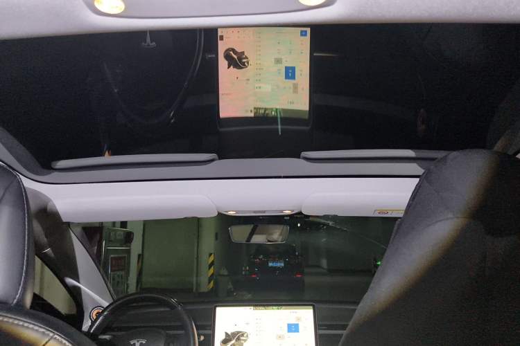 Used Tesla Model 3 2019 Long-Range Rear-Wheel-Drive Version Headliner