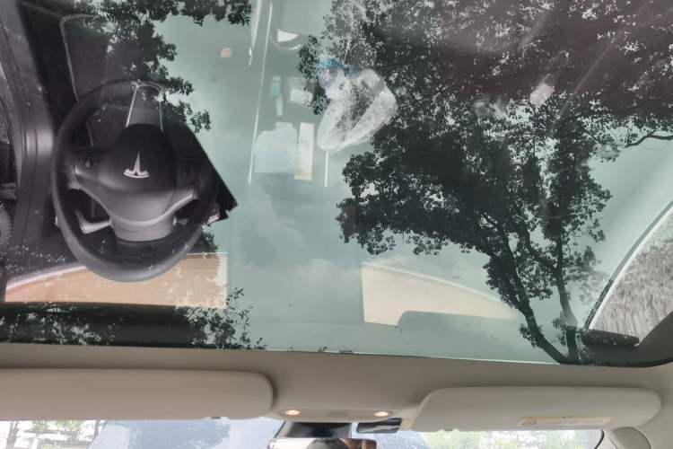Used Tesla Model 3 2019 Long-Range All-Wheel-Drive Version Headliner