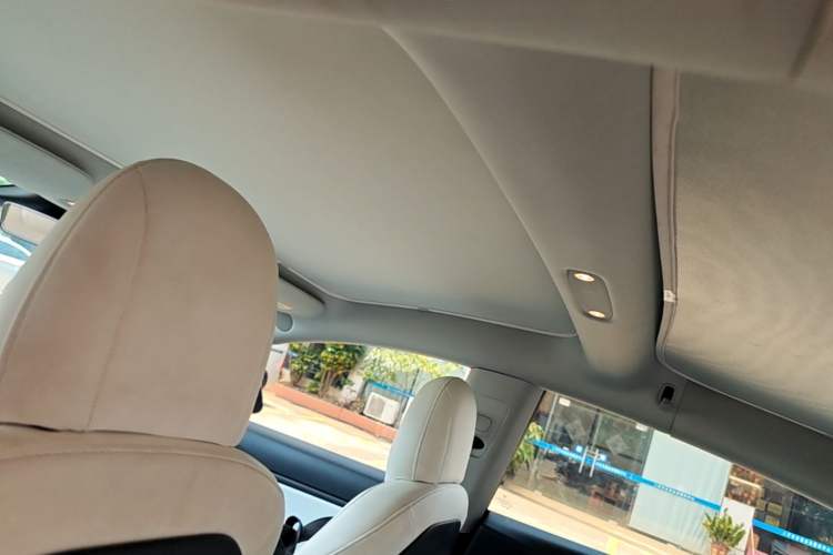 Used Tesla Model 3 2019 Long-Range Rear-Wheel-Drive Version Headliner