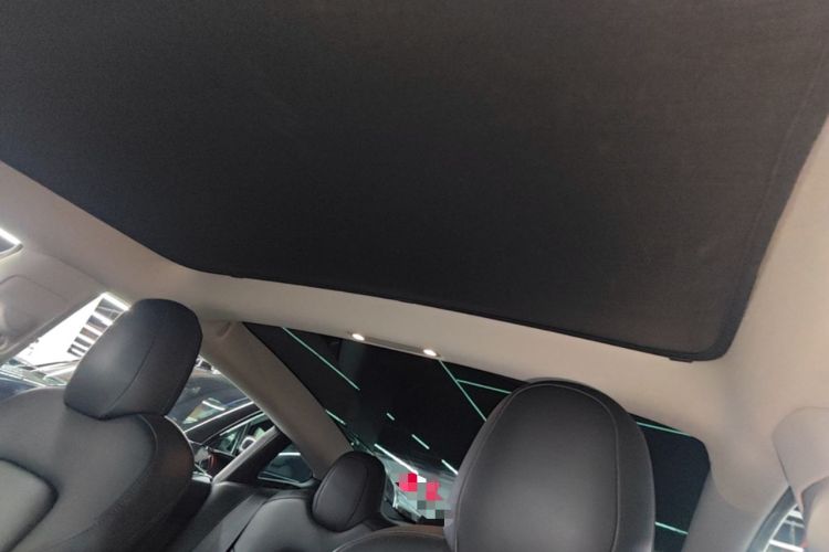 Used Tesla Model 3 2019 Standard Range Rear-Drive Upgraded Version Headliner
