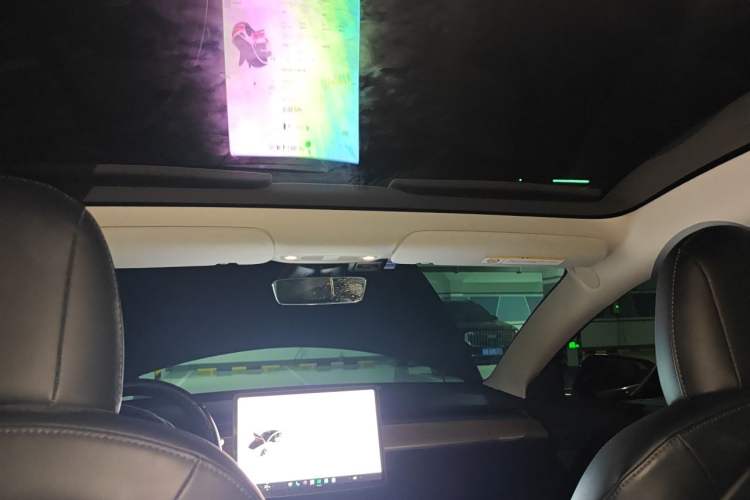 Used Tesla Model 3 2019 Standard Range Rear-Drive Upgraded Version Headliner
