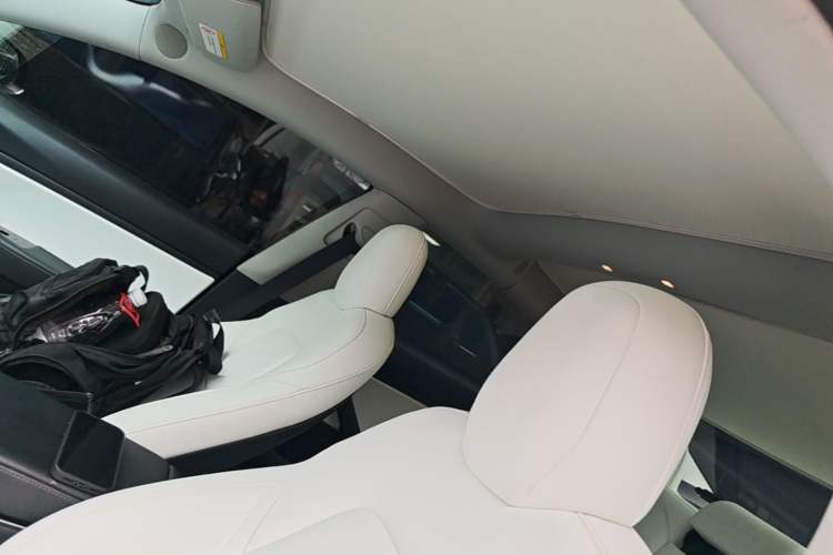 Used Tesla Model 3 2019 Long-Range Rear-Wheel-Drive Version Headliner