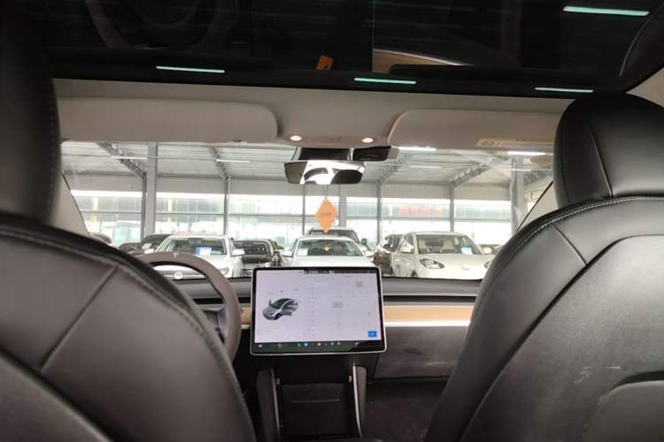 Used Tesla Model 3 2019 Standard Range Rear-Drive Upgraded Version Headliner