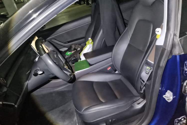 Used Tesla Model 3 2019 Long-Range Rear-Wheel-Drive Version Left Front Seat