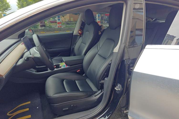 Used Tesla Model 3 2019 Standard Range Rear-Drive Upgraded Version Left Front Seat