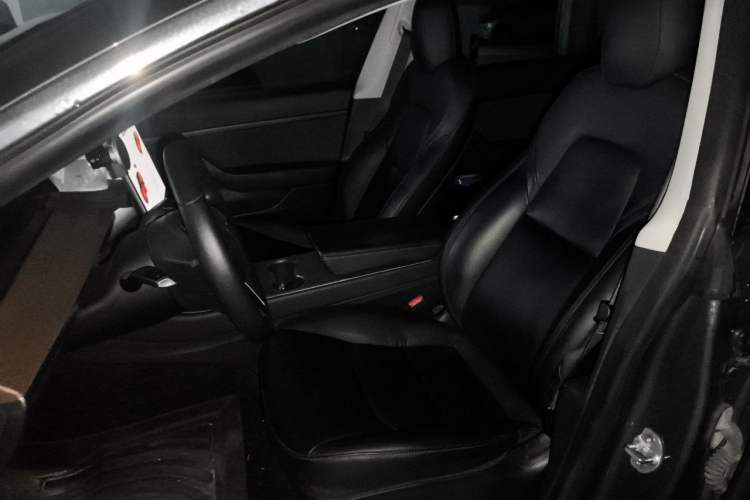 Used Tesla Model 3 2019 Standard Range Rear-Drive Upgraded Version Left Front Seat