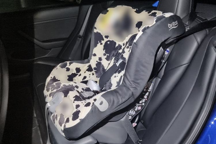 Used Tesla Model 3 2019 Long-Range Rear-Wheel-Drive Version Left Rear Seat