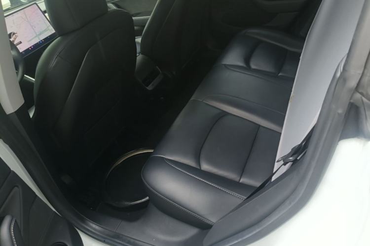 Used Tesla Model 3 2019 Long-Range Rear-Wheel-Drive Version Left Rear Seat