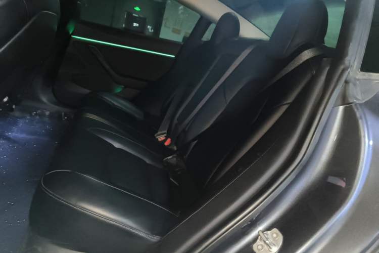 Used Tesla Model 3 2019 Long-Range Rear-Wheel-Drive Version Left Rear Seat
