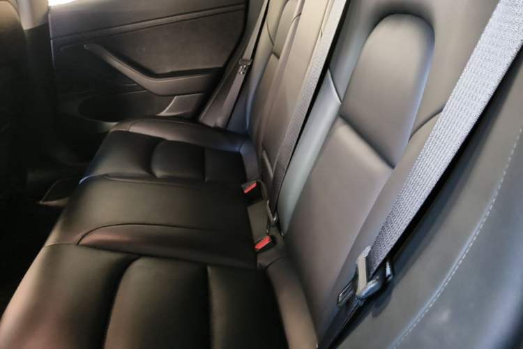 Used Tesla Model 3 2019 Standard Range Rear-Drive Upgraded Version Left Rear Seat