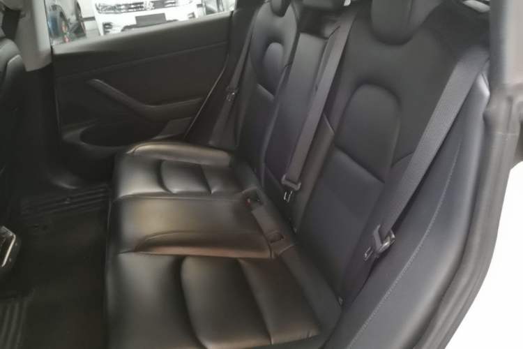 Used Tesla Model 3 2019 Standard Range Rear-Drive Upgraded Version Left Rear Seat