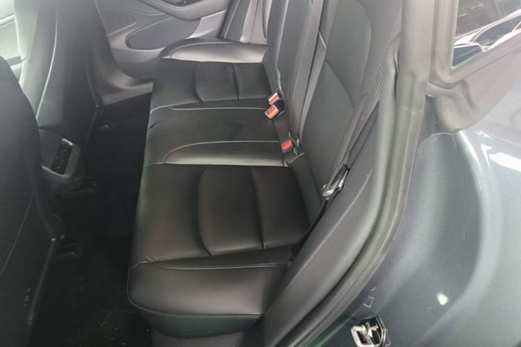 Used Tesla Model 3 2019 Standard Range Rear-Drive Upgraded Version Left Rear Seat