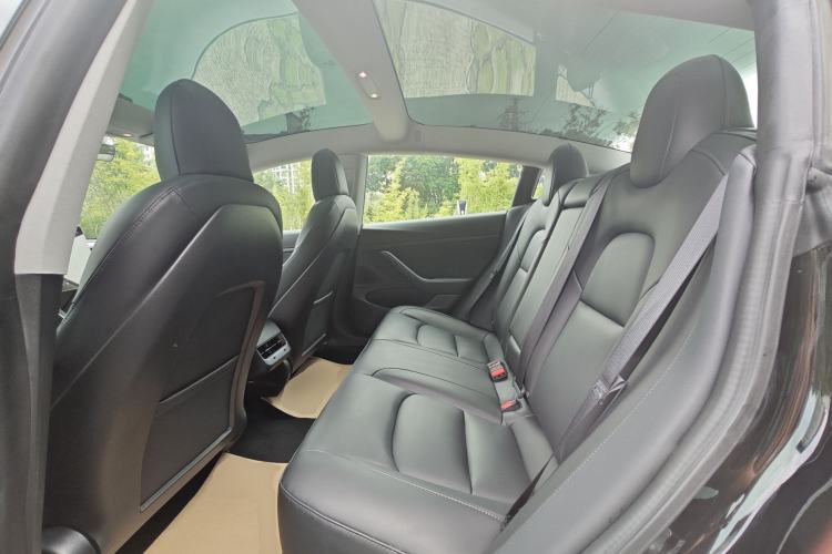 Used Tesla Model 3 2019 Standard Range Rear-Drive Upgraded Version Left Rear Seat