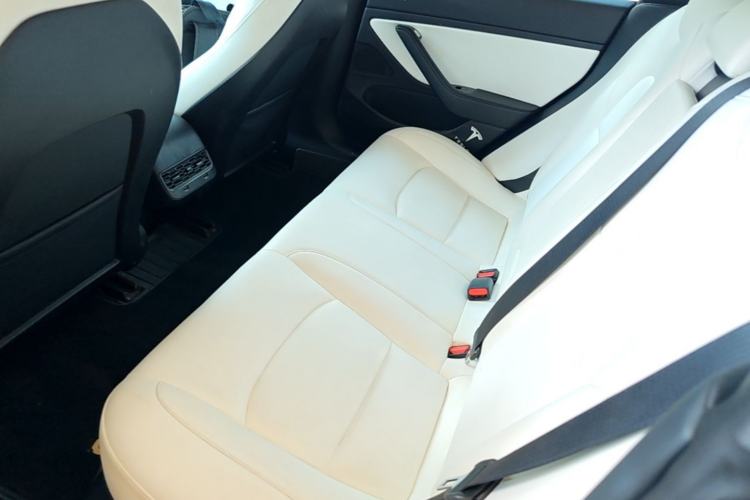 Used Tesla Model 3 2019 Long-Range Rear-Wheel-Drive Version Left Rear Seat