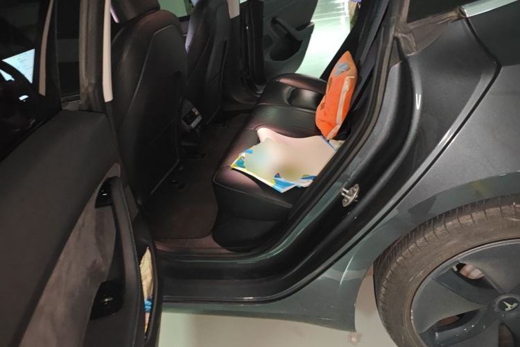 Used Tesla Model 3 2019 Standard Range Rear-Drive Upgraded Version Left Rear Seat