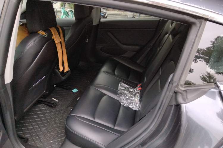 Used Tesla Model 3 2019 Long-Range Rear-Wheel-Drive Version Left Rear Seat