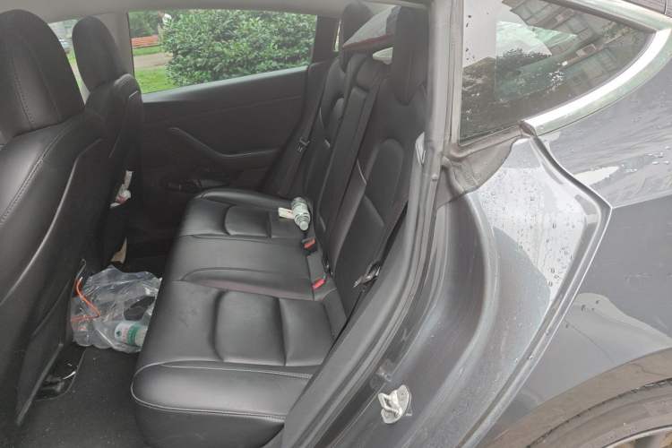 Used Tesla Model 3 2019 Long-Range Rear-Wheel-Drive Version Left Rear Seat