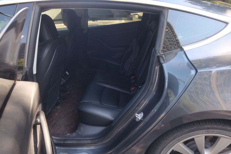 Used Tesla Model 3 2019 Standard Range Rear-Drive Upgraded Version Left Rear Seat
